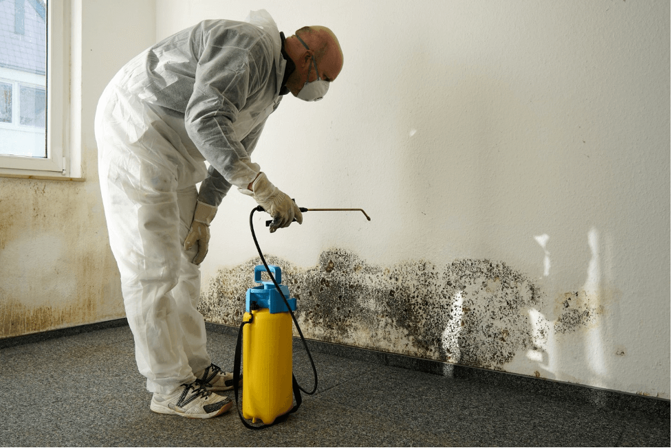 Preventing your basement from water leakage