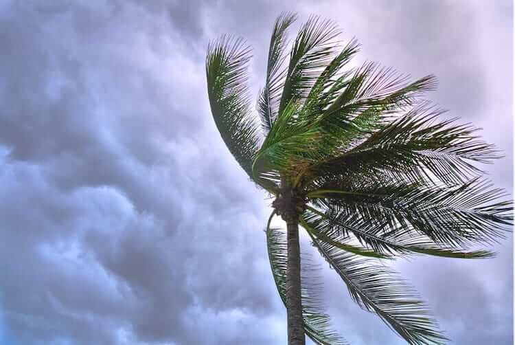 How to Properly Prepare Your Home for a Tropical Storm