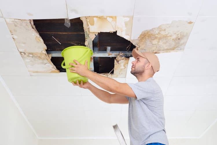 Easy and Effective Tips to Protect Your Home from Water Damage