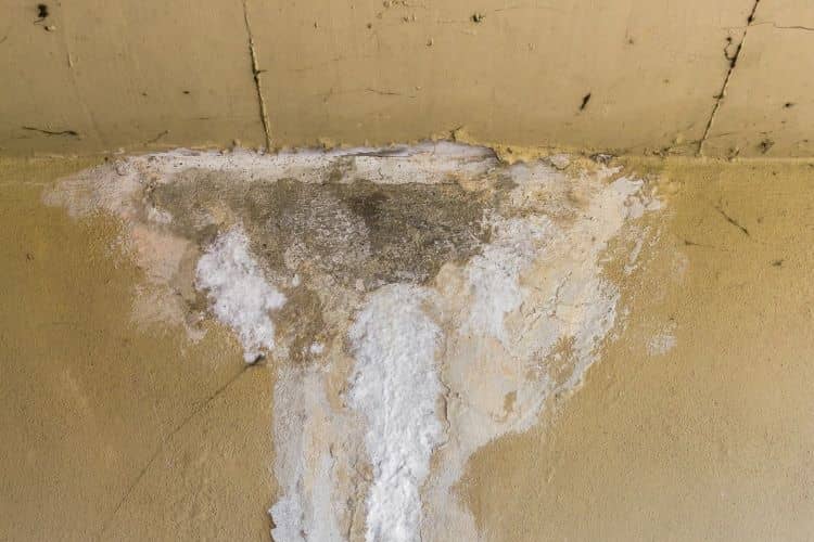 5 Tips on Choosing Leak Detection Services for Homeowners