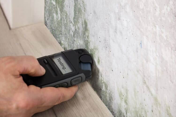 Why Are Regular Mold Inspections Necessary for Your Home?