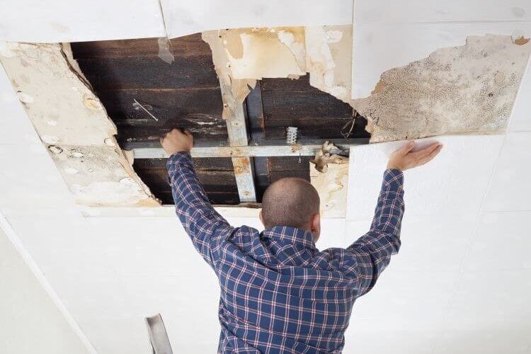 What to Do After Your Home Suffers from Water Damage